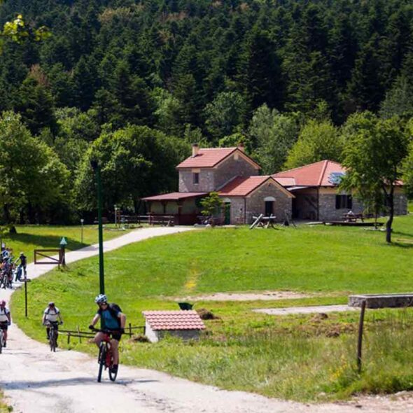 Parco attrezzato l’abete bianco