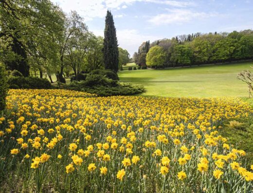 PARCO GIARDINO SIGURTÀ