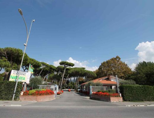 PARTACCIA 1