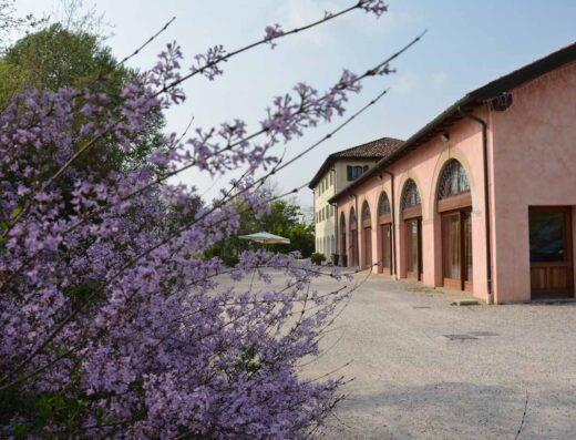 AZIENDA AGRICOLA RECHSTEINER