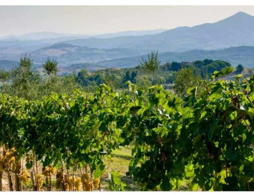 PODERE SANTA CLORINDA