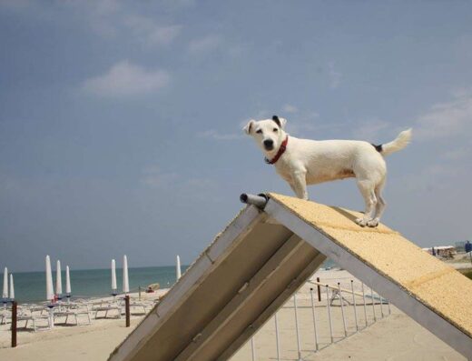 SCOOBY.DOO BEACH