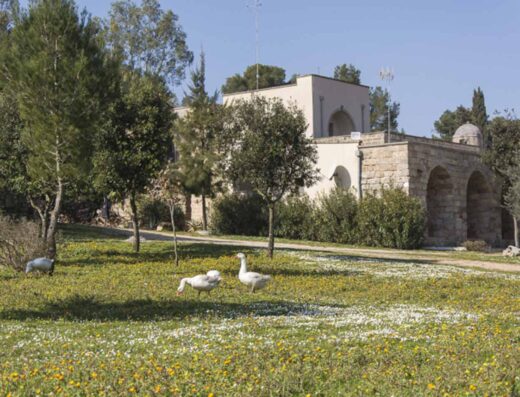 AGRITURISMO CASALE SOMBRINO