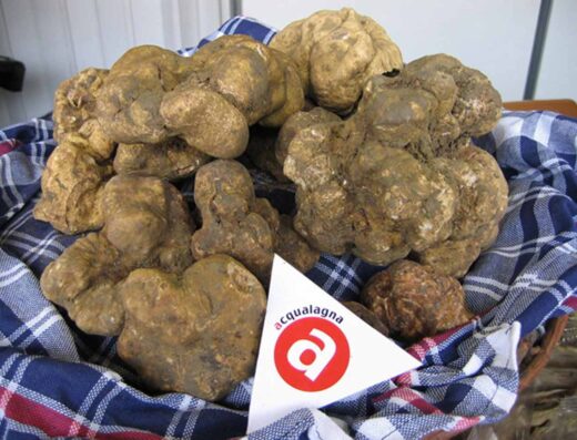 FIERA NAZIONALE DEL TARTUFO