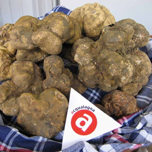 Fiera nazionale del tartufo
