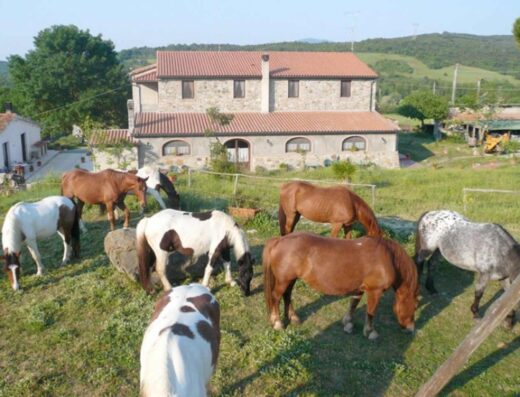 TENUTA SANT’AGNESE