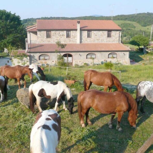 Tenuta sant'agnese
