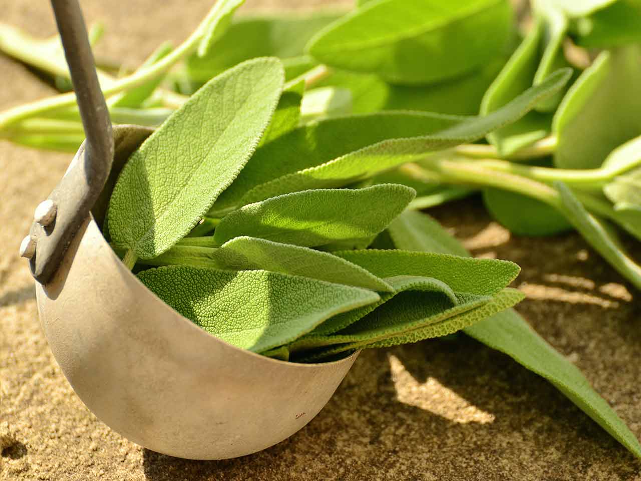 DALLA NATURA UN AIUTO PER MENOPAUSA E GASTRITE