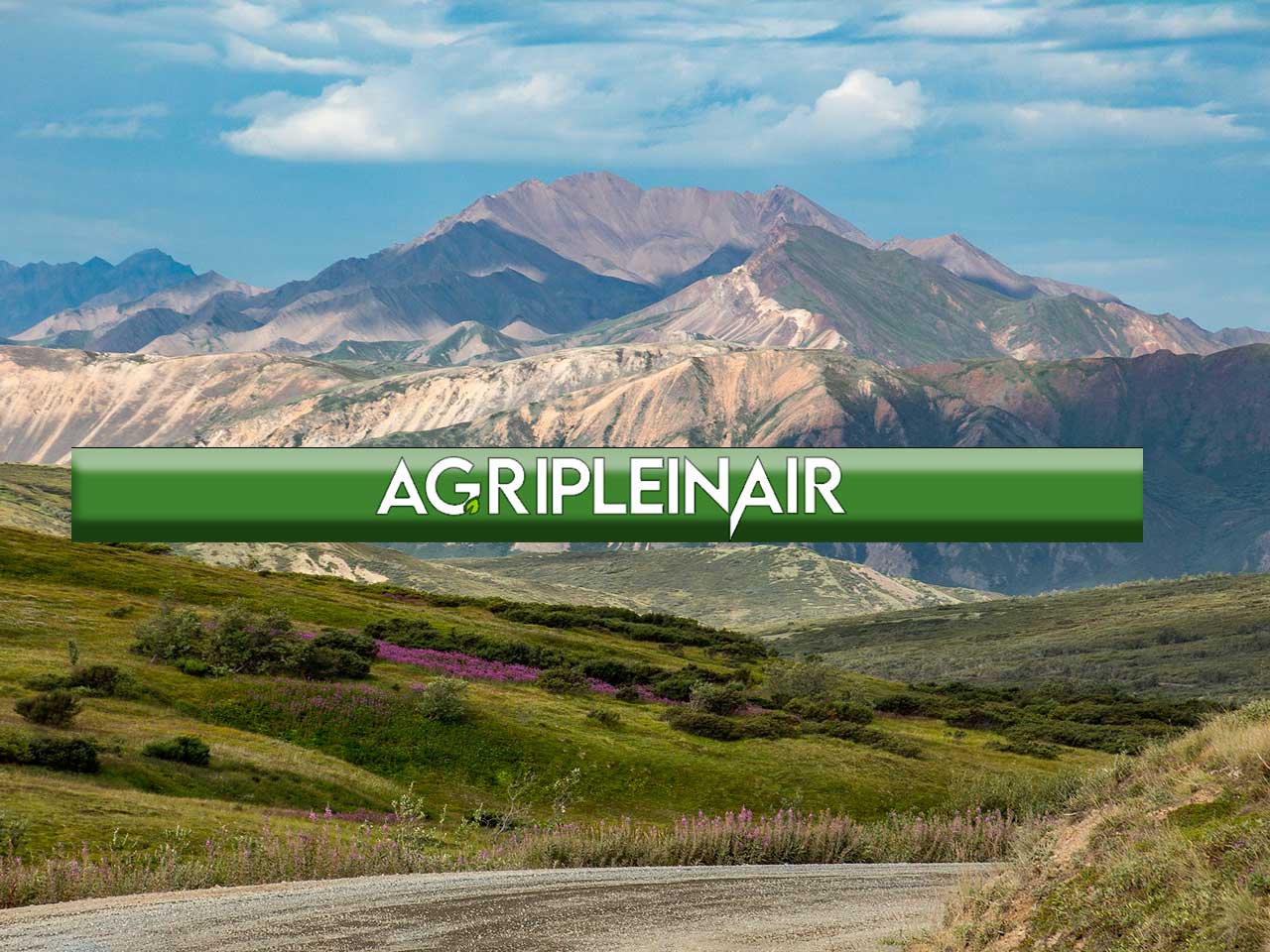 10 AGRICAMPEGGI VICINO AI PARCHI