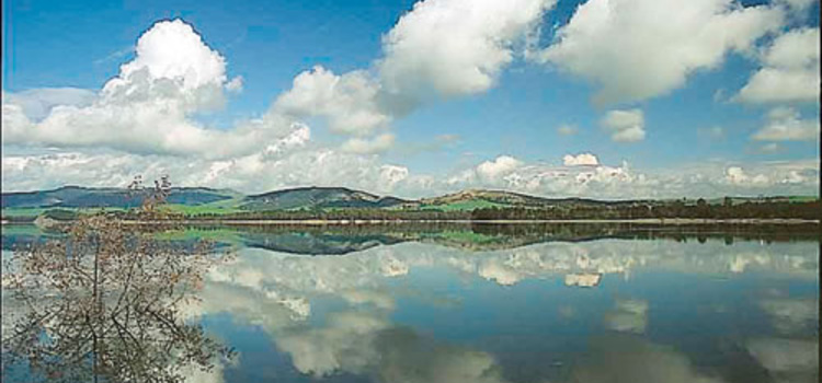 Agriturismo lama di palio