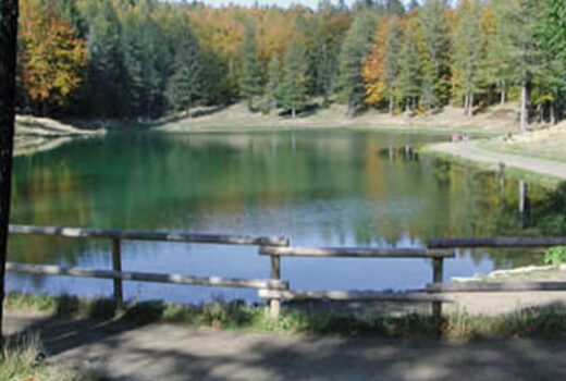 AZIENDA AGRITURISTICA LA CERVAROLA