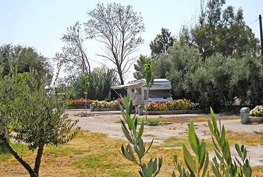 SEMELI
