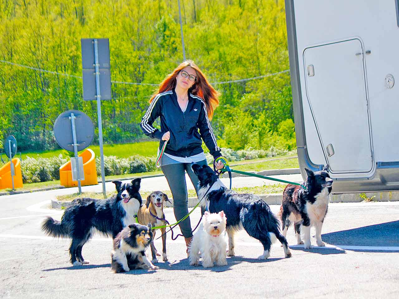 PREVENZIONE PER CANI E GATTI: PENSIAMOCI PER TEMPO