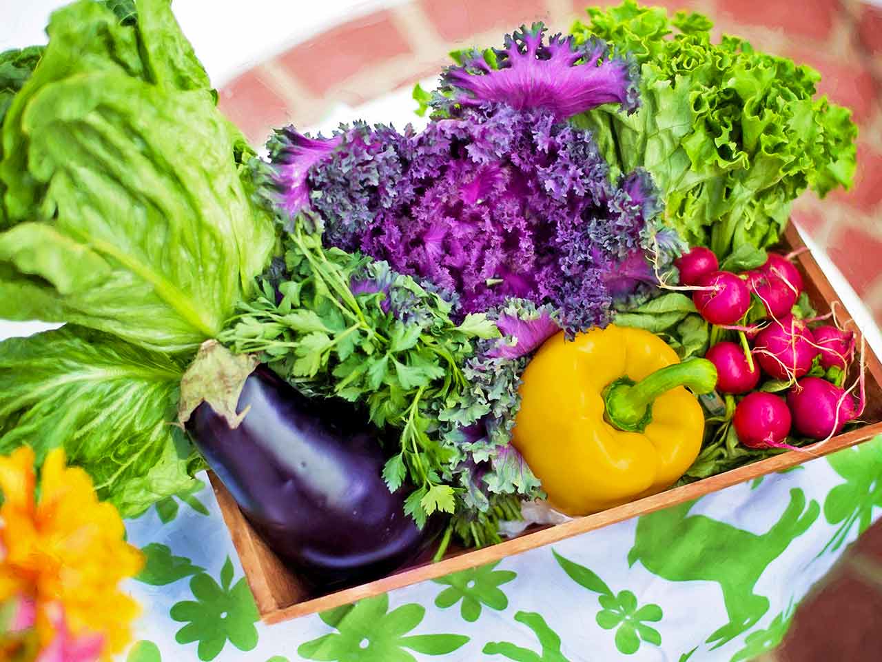 PERCHÉ DOVREMMO TUTTI MANGIARE PIÙ VERDURE
