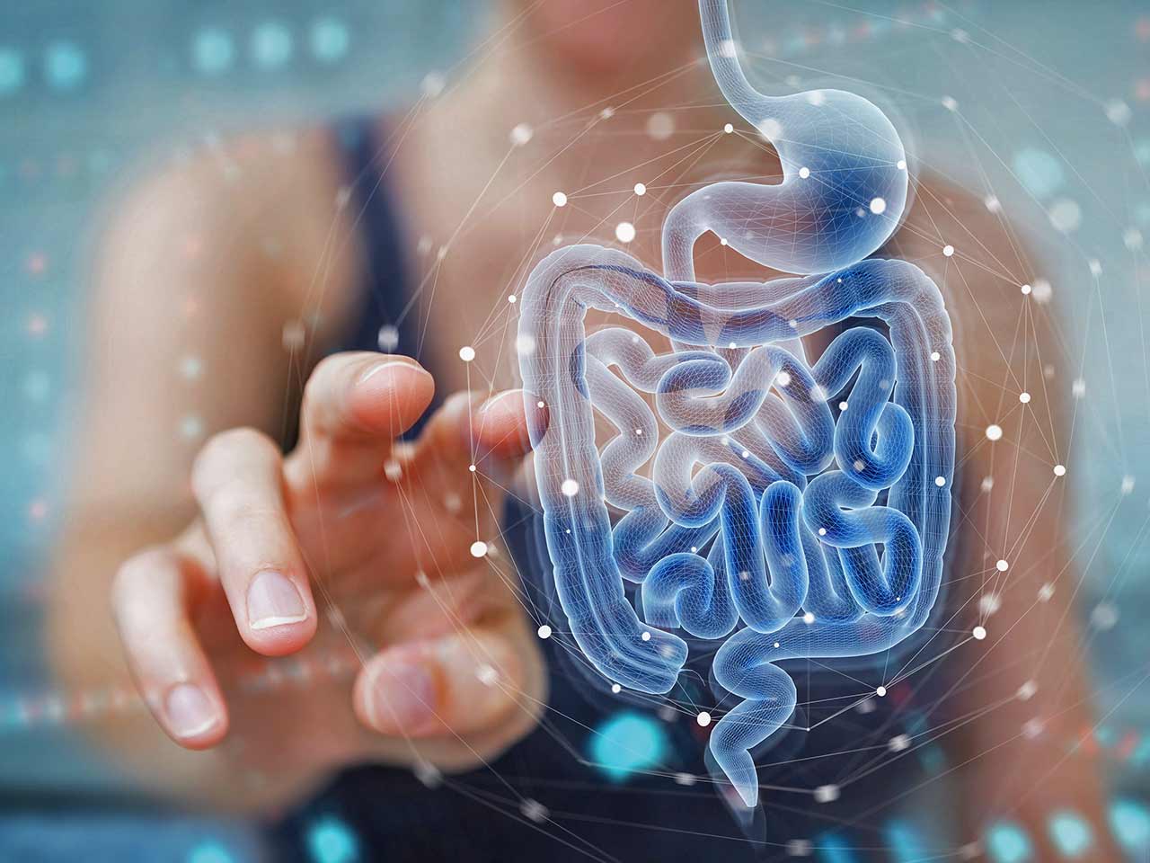 IL MICROBIOTA