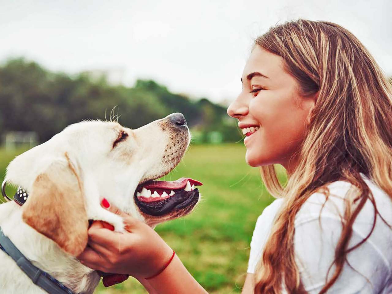 LIGIENE ORALE DI CANI E GATTI