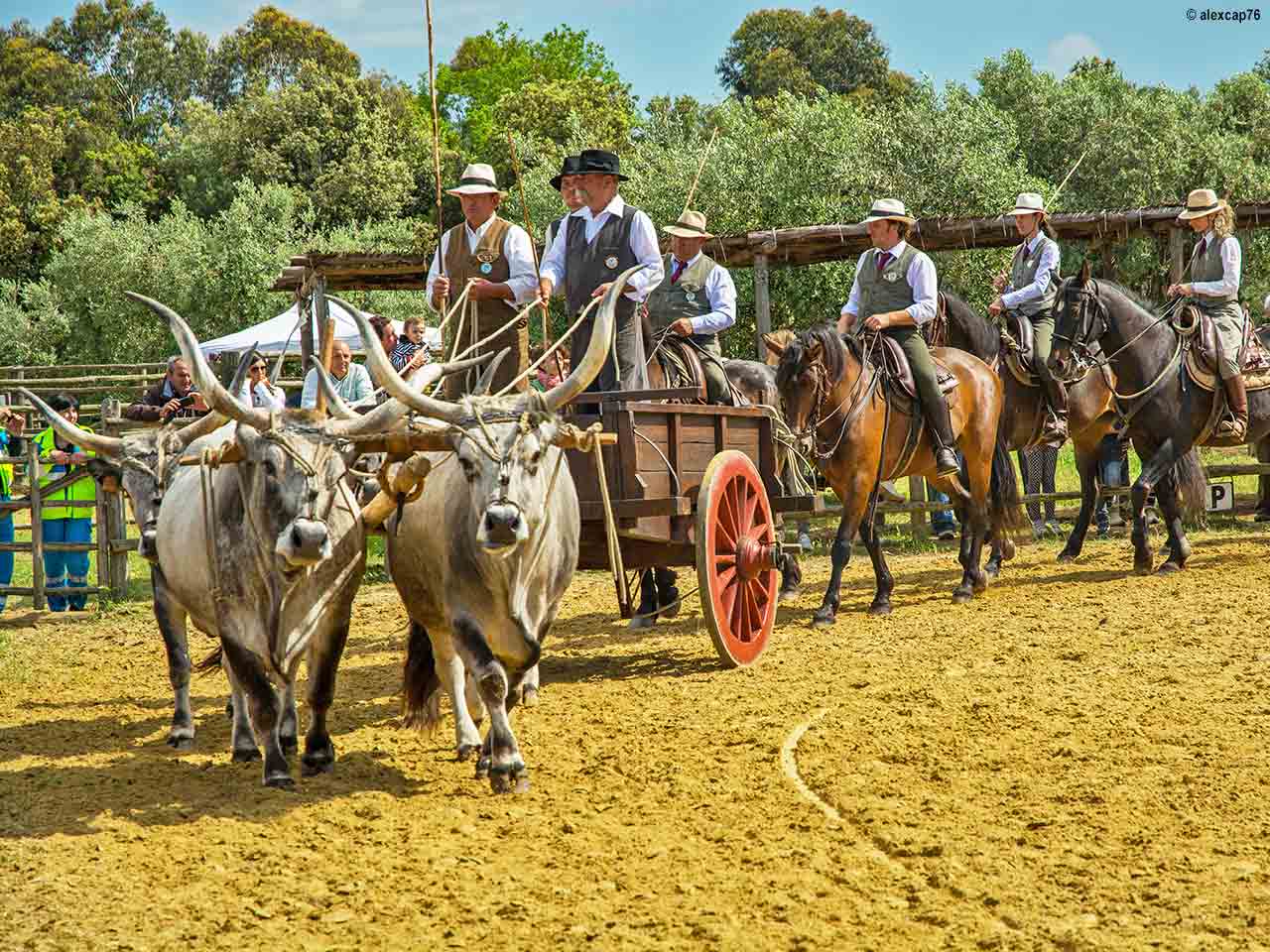 5 LEGGENDE DELLA MAREMMA TOSCANA