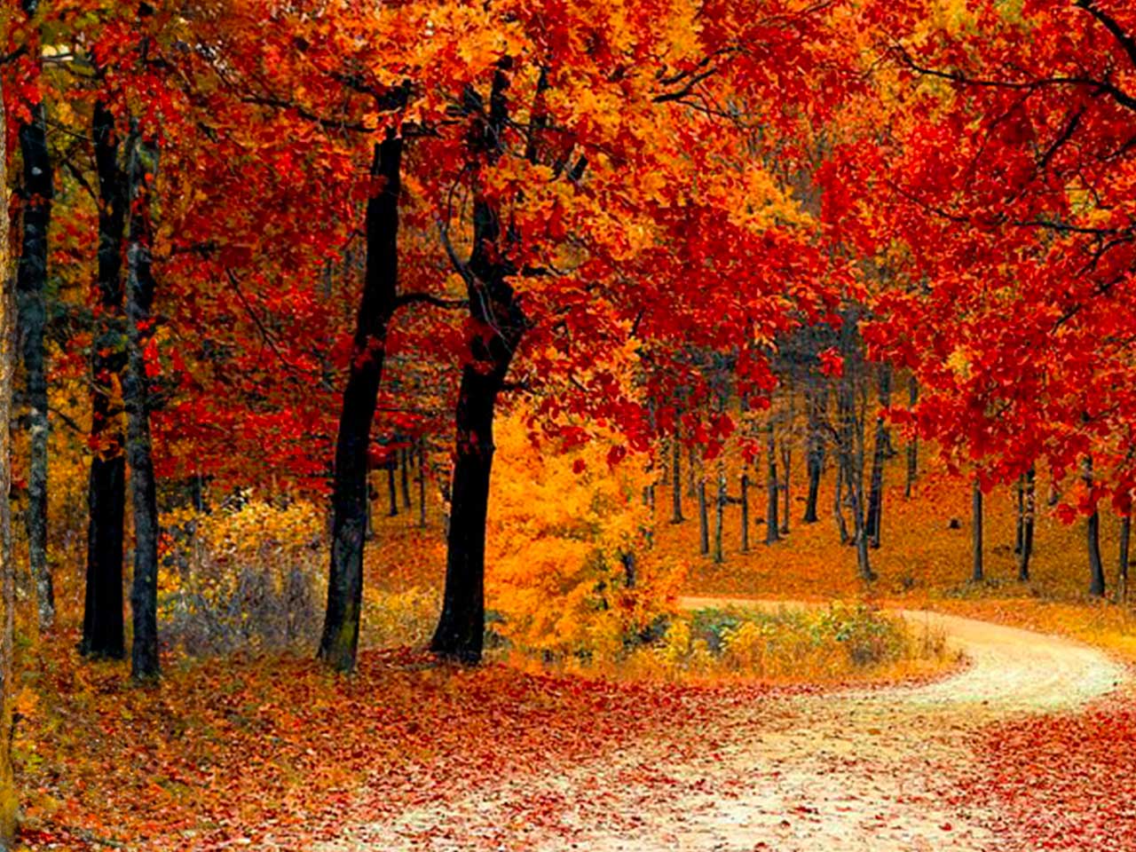 DOVE VEDERE IL FOLIAGE. 6 METE + 1 TRENO