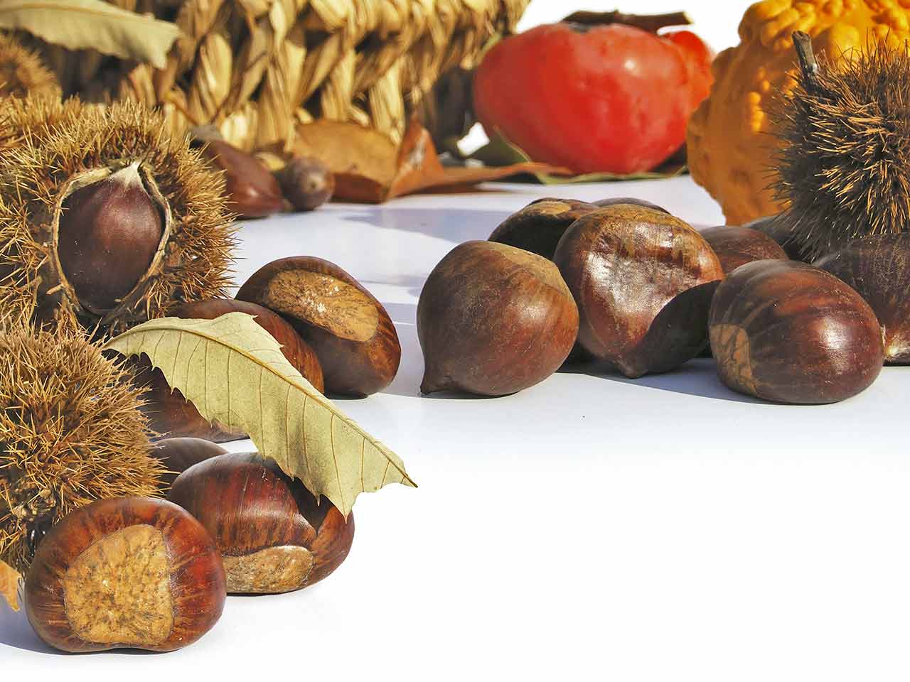 5 BUONE RAGIONI PER MANGIARE CASTAGNE
