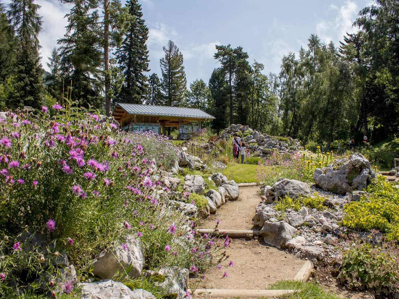 Una gita al Giardino Botanico Alpino di Trento