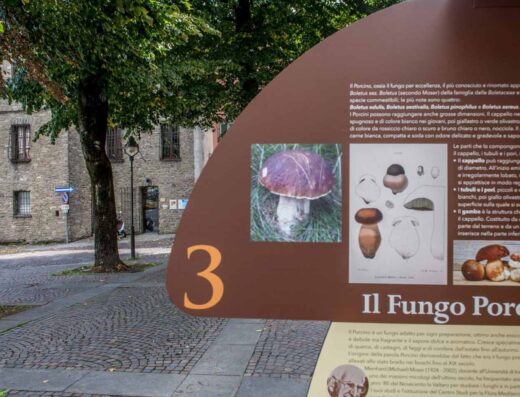 MUSEI DEL CIBO – MUSEO DEL FUNGO PORCINO DI BORGOTARO