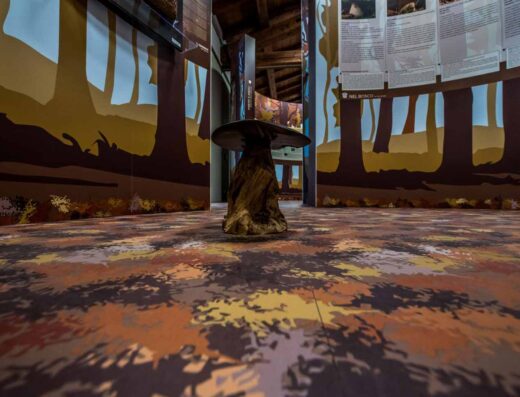 MUSEI DEL CIBO – MUSEO DEL FUNGO PORCINO DI BORGOTARO