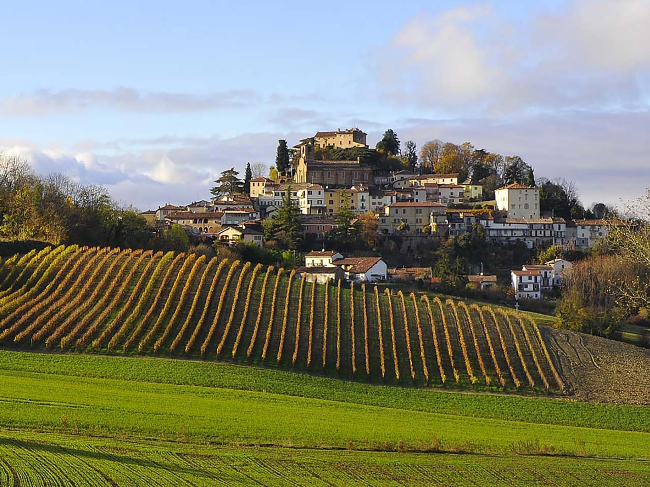 Merende e percorsi. Lestate a colori di Ozzano Monferrato
