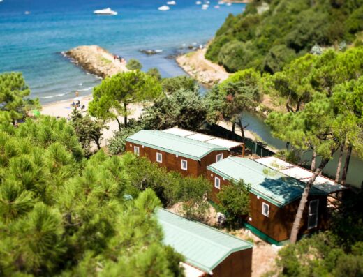 PUNTALA CAMP & RESORT