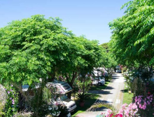 SOSTA CAMPER SAN FELICE CIRCEO