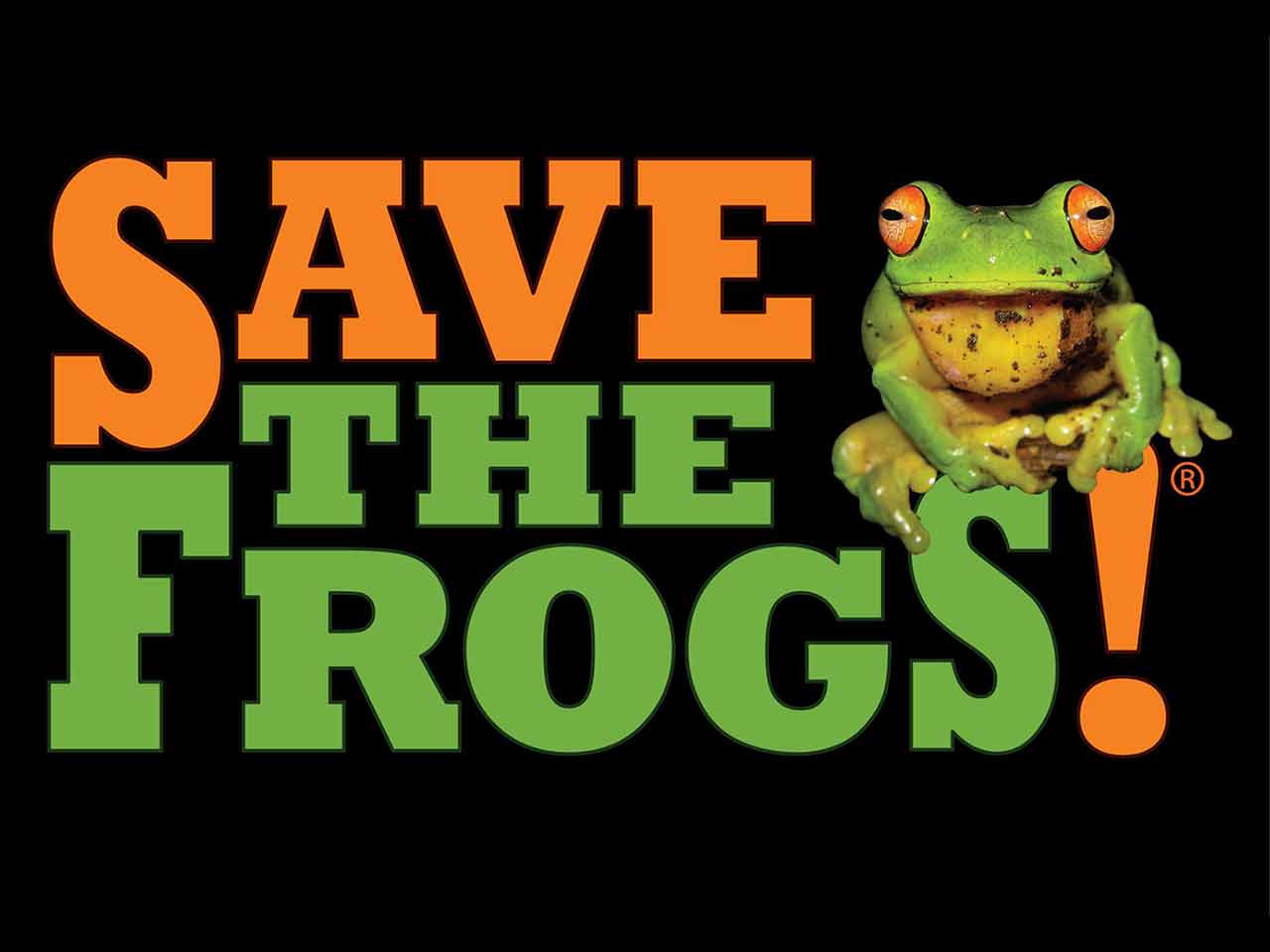 #SaveTheFrogs! Giornata mondiale per la salvaguardia delle rane. E del Ranocchio!