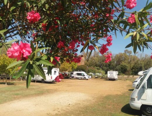 SOSTA CAMPER GLI OLEANDRI