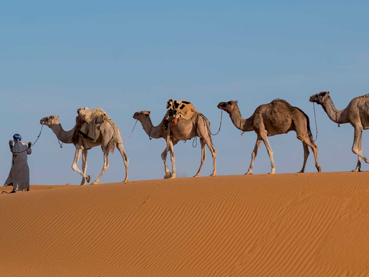 UN VIAGGIO IN MAURITANIA