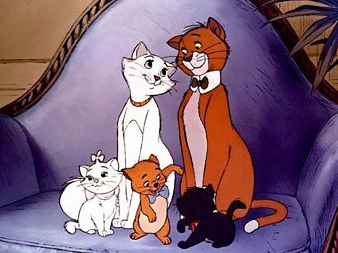La stagione dellamore: il ciclo estrale di cagne e gatte