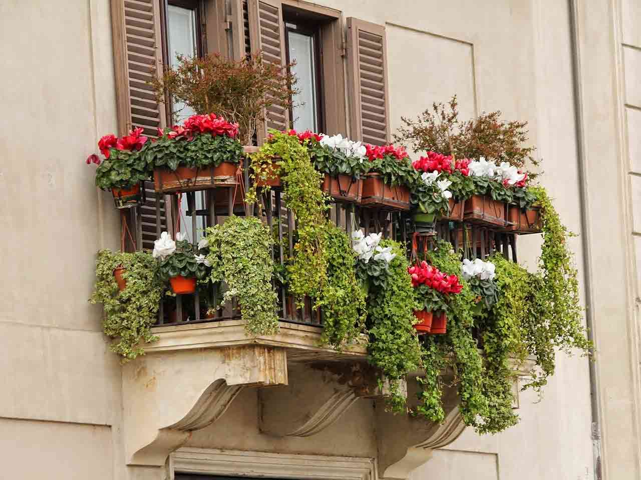 Come annaffiare le piante mentre sei in vacanza