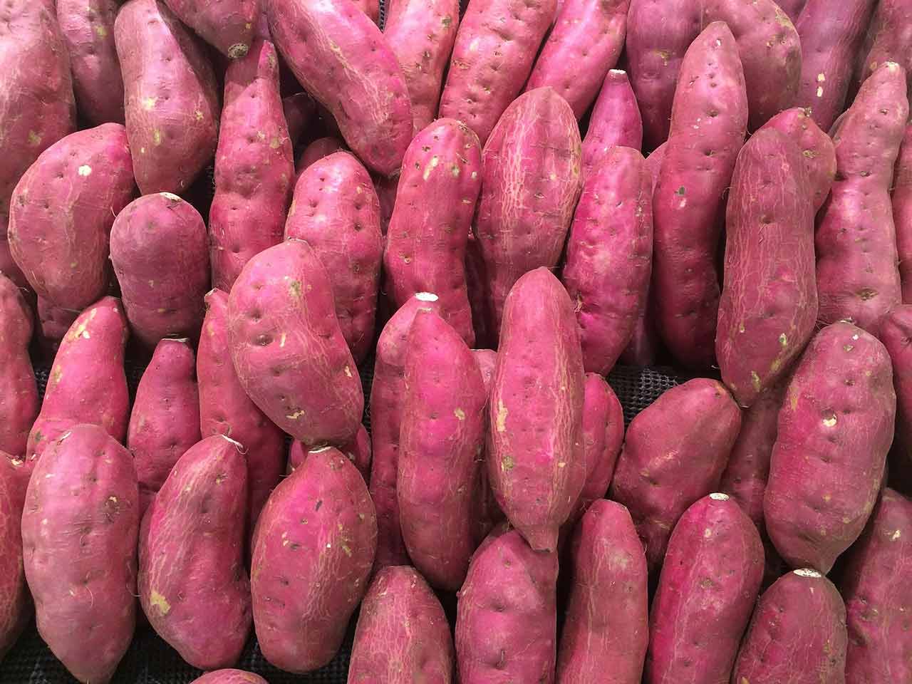 BATATA UN CONCENTRATO DI ANTIOSSIDANTI