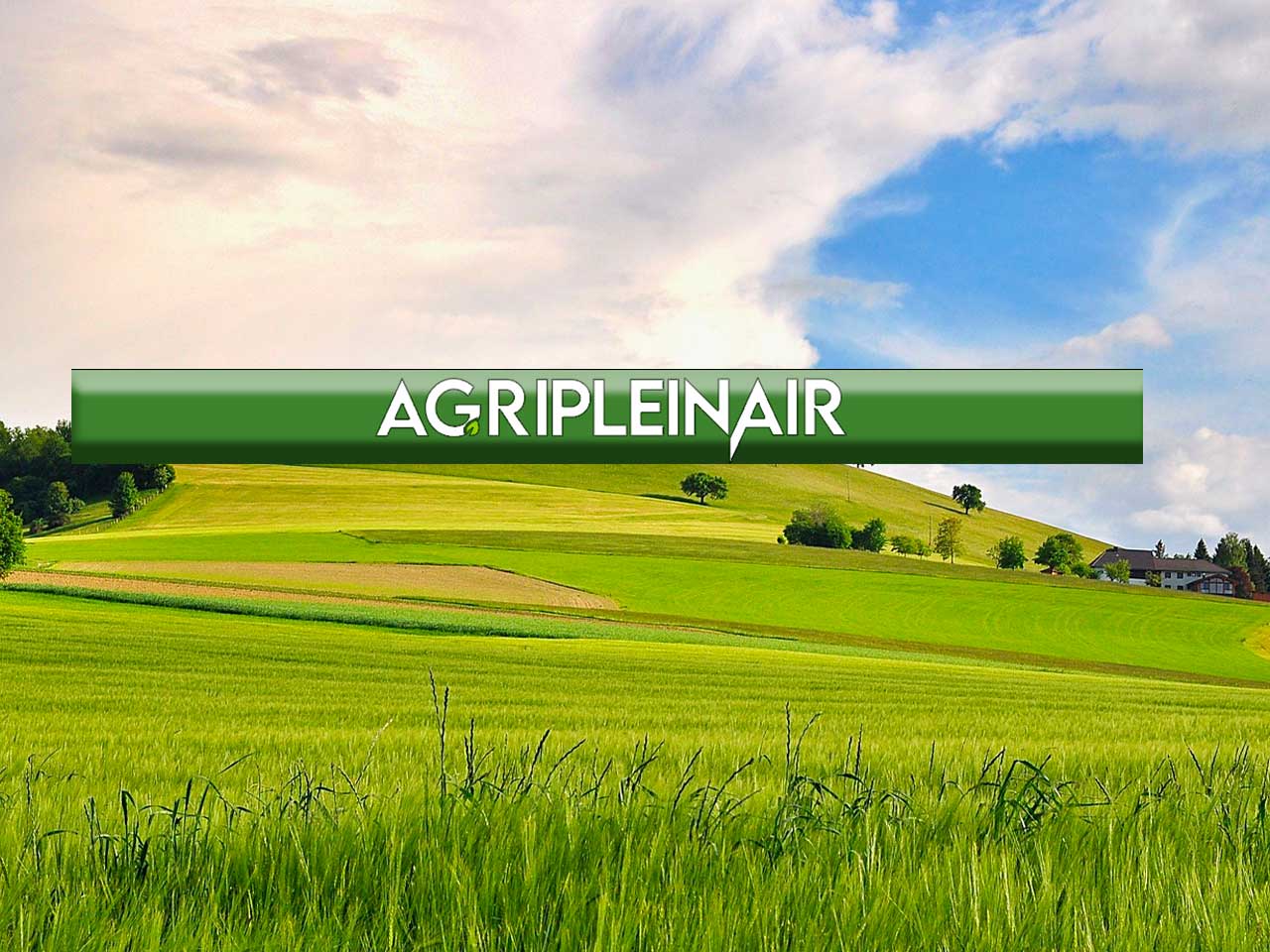 GLI AGRITURISMI LUNGO LA VIA FRANCIGENA