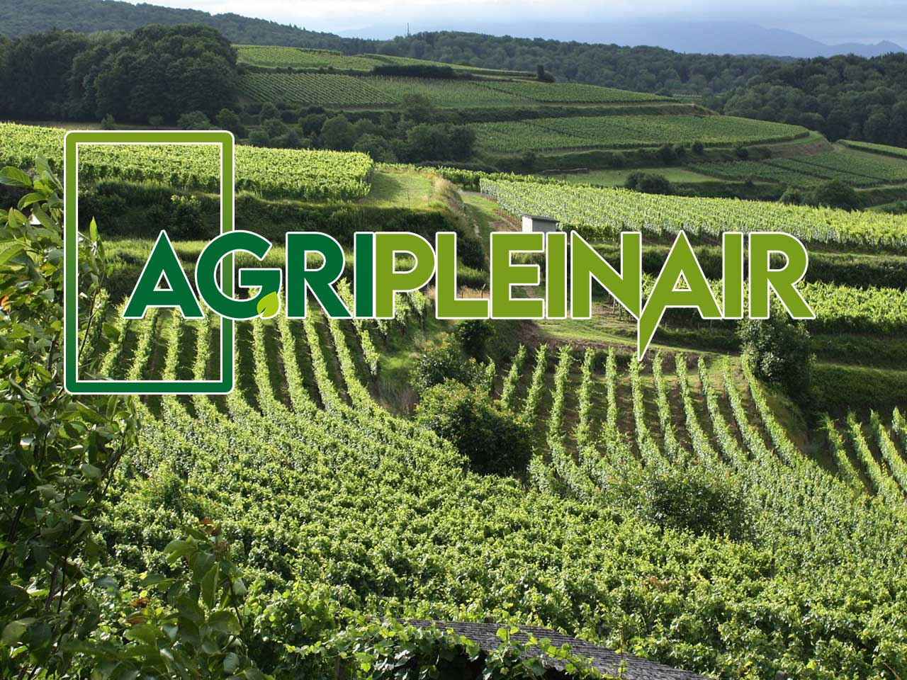 AGRICAMPEGGI IMPERDIBILI IN VENETO