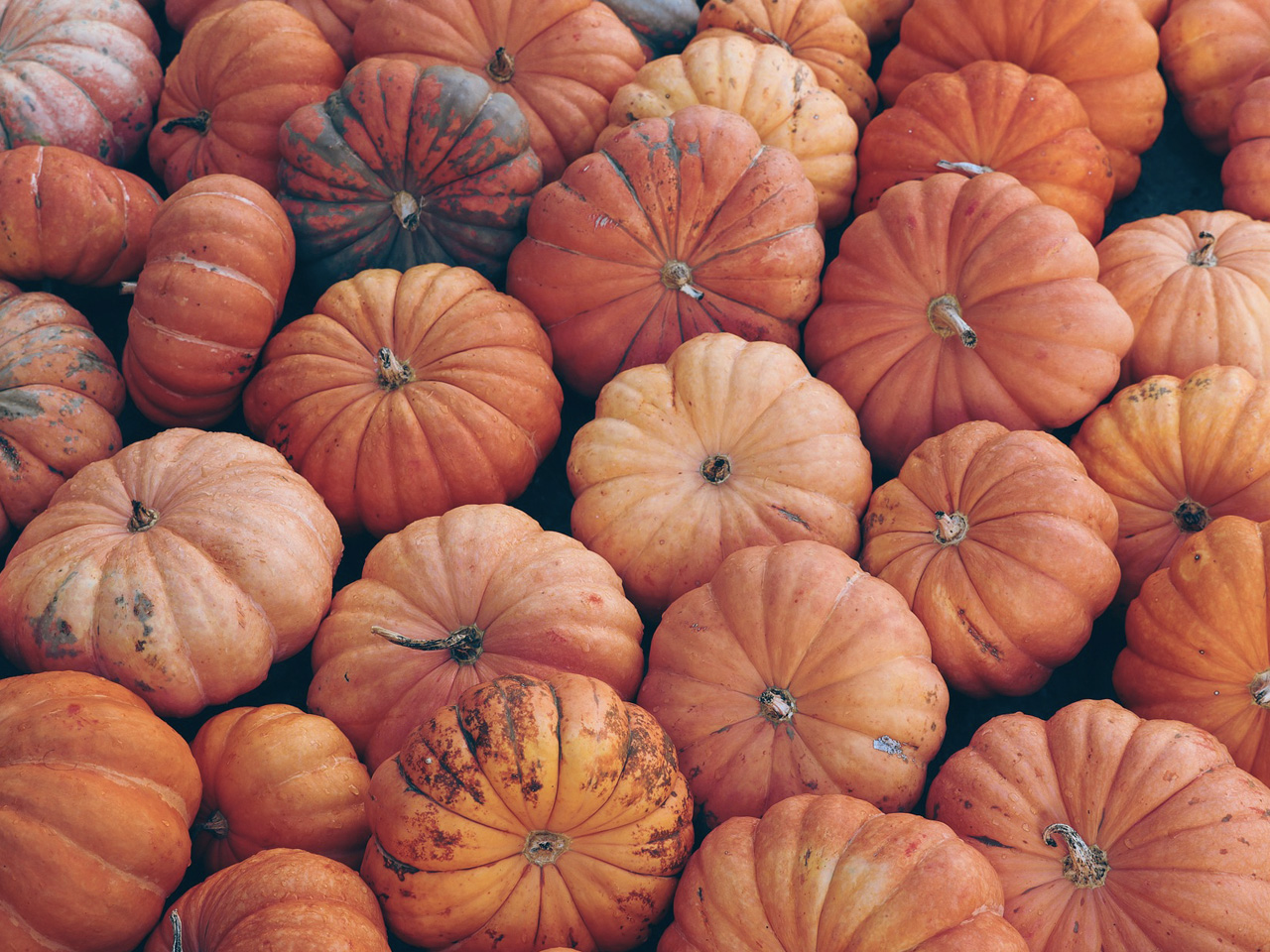 DOVE PORTARE I BAMBINI AD HALLOWEEN