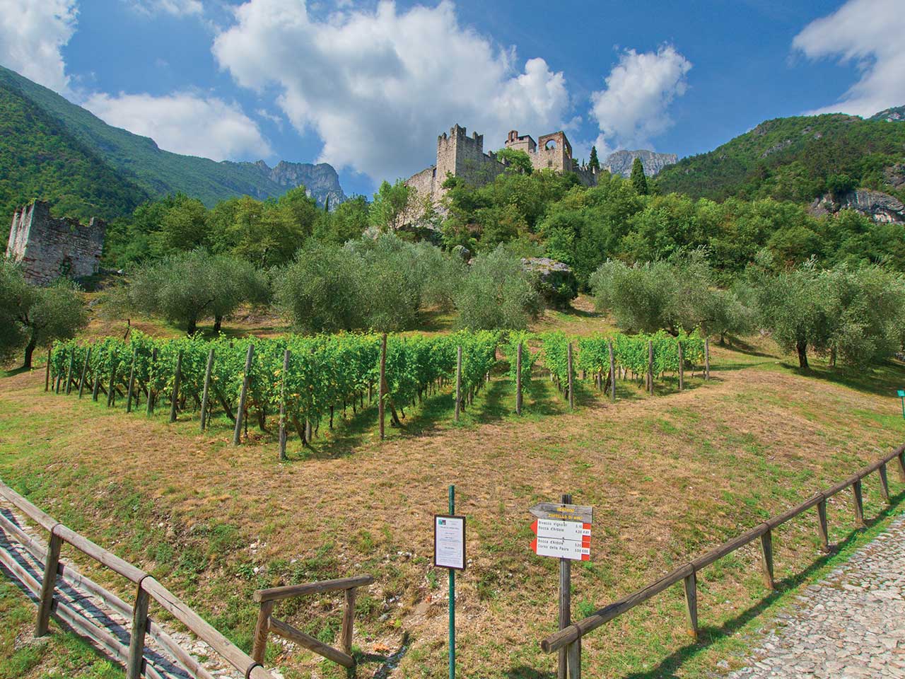 WEEKEND IN CAMPER IN VALLAGARINA