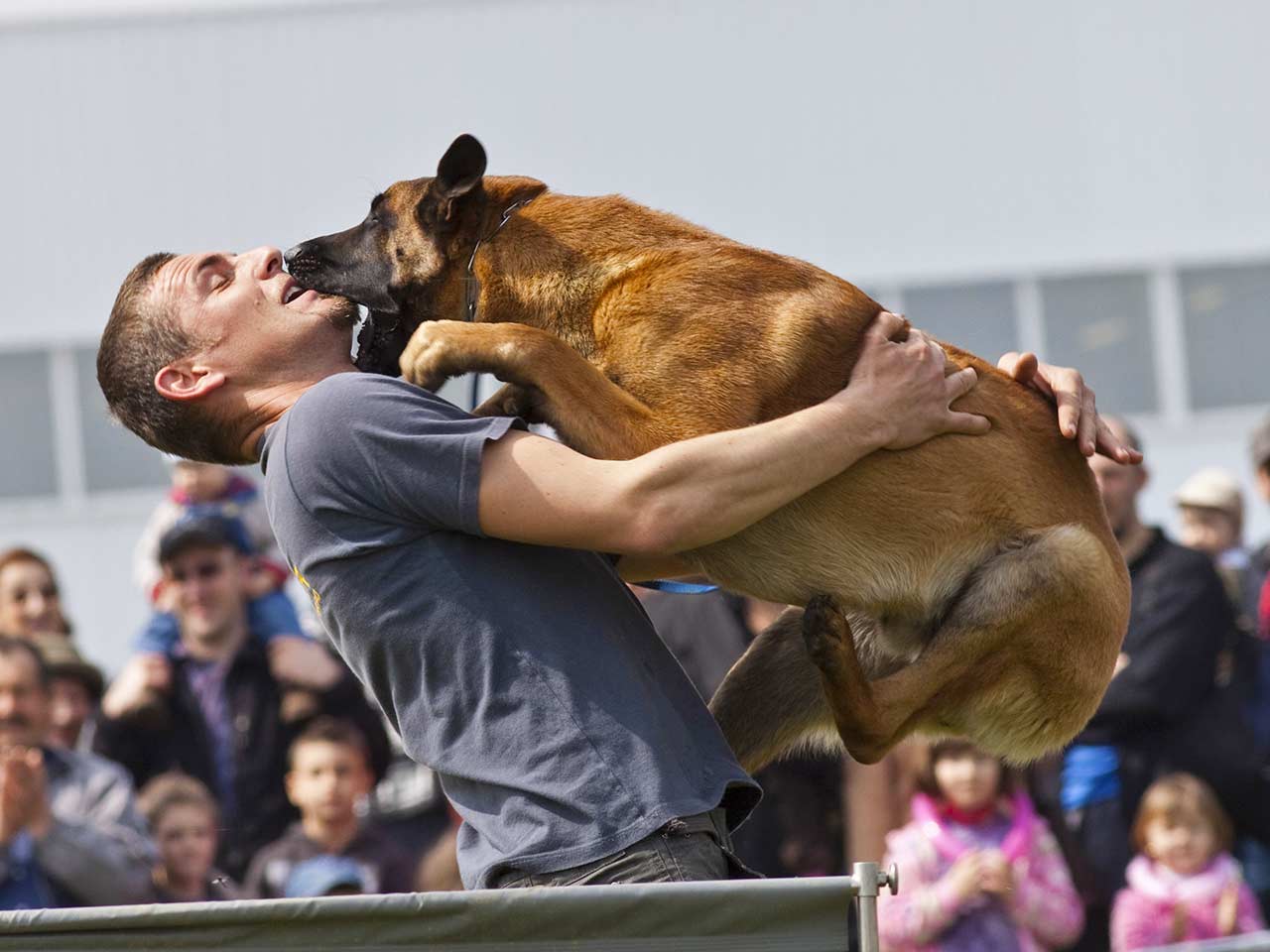 CANI E GATTI ANSIOSI COME NOI