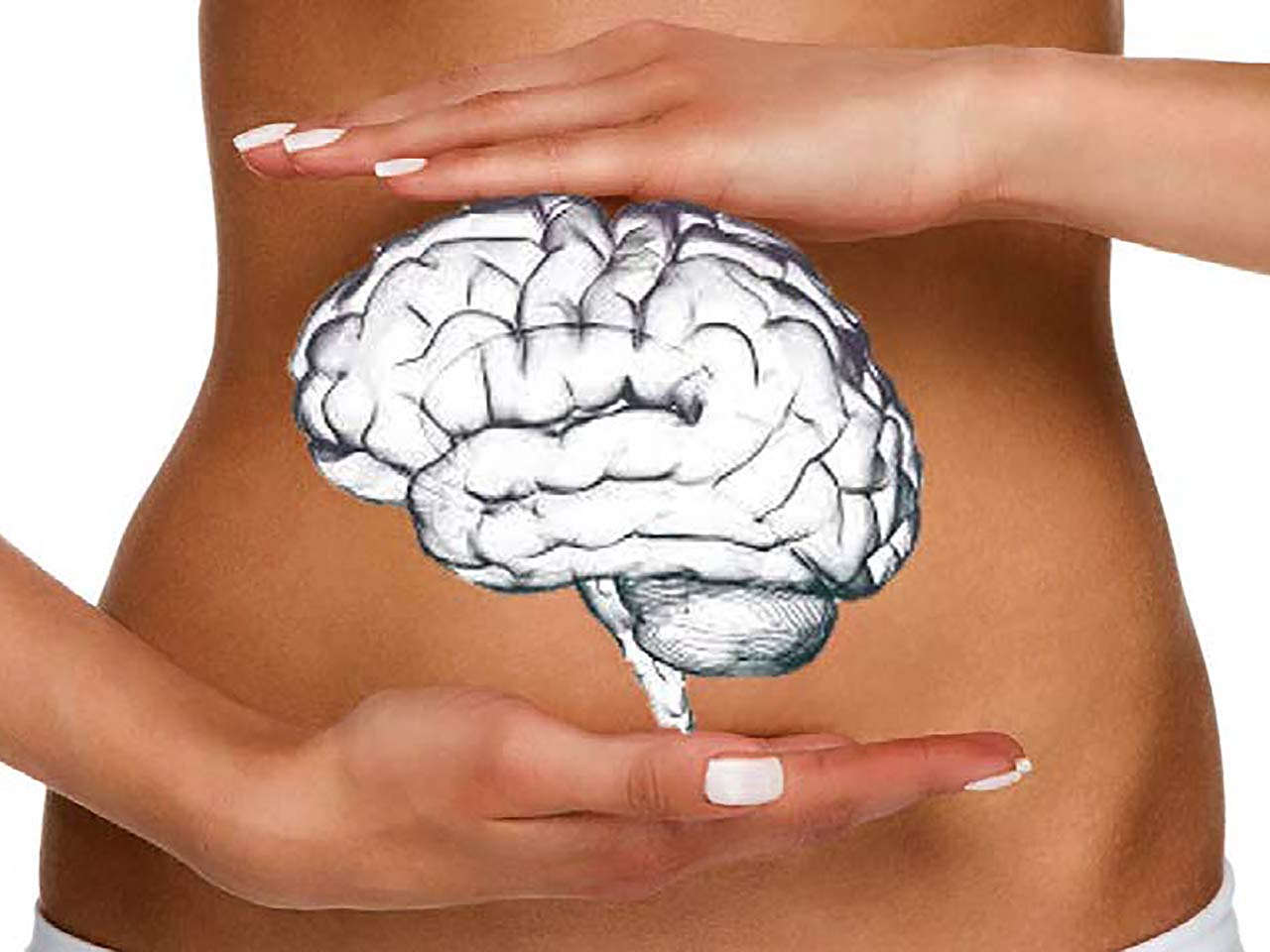 I prebiotici: nutrono i batteri buoni e il cervello