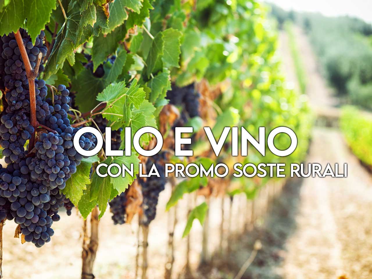 IN SCADENZA L'OFFERTA SOSTE RURALI: APPROFITTANE ORA!