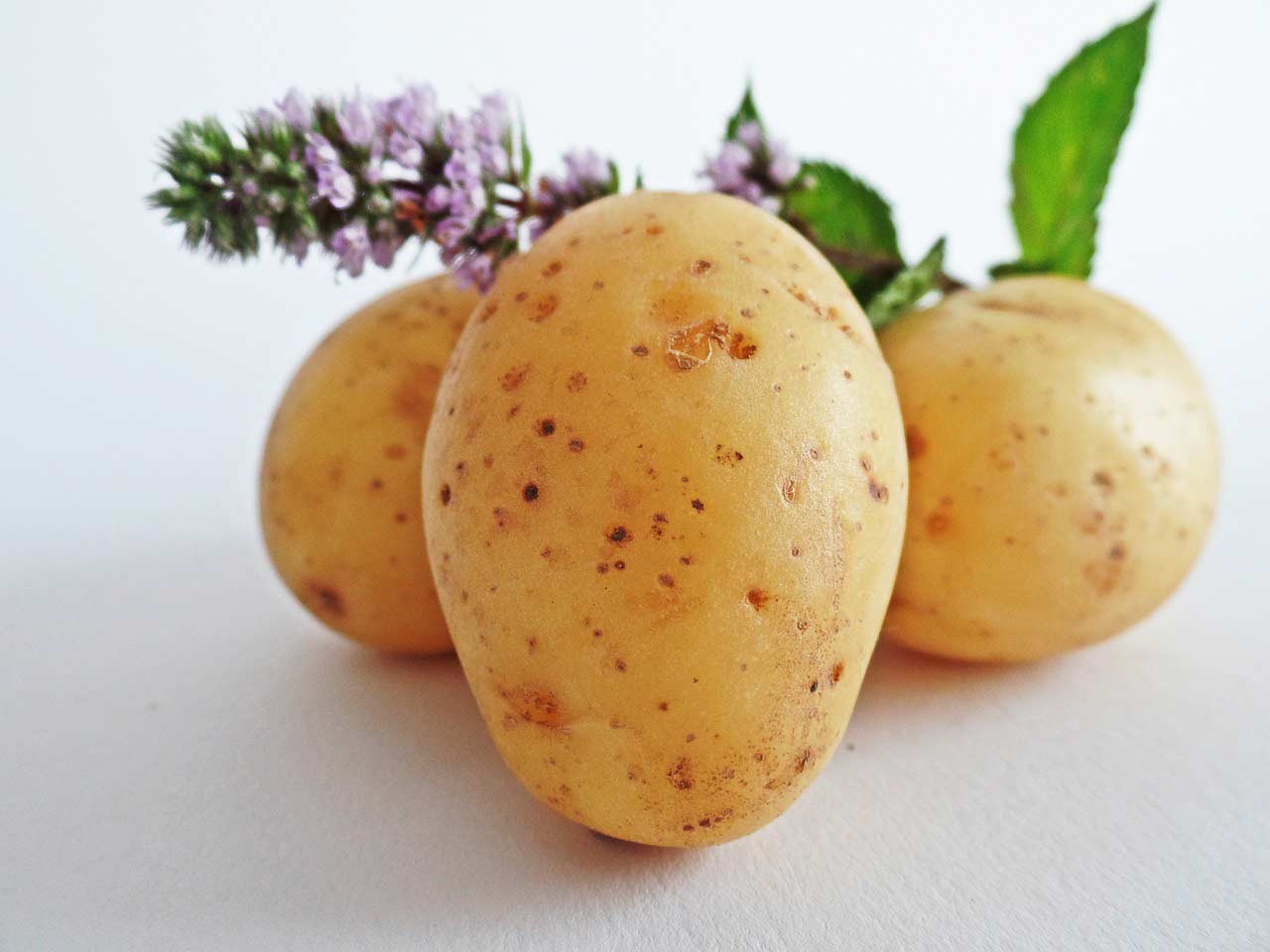 PATATA