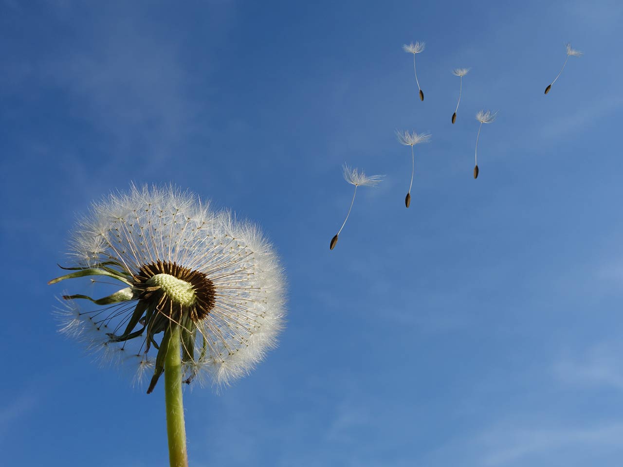 La primavera è nellaria. Ma non è sola