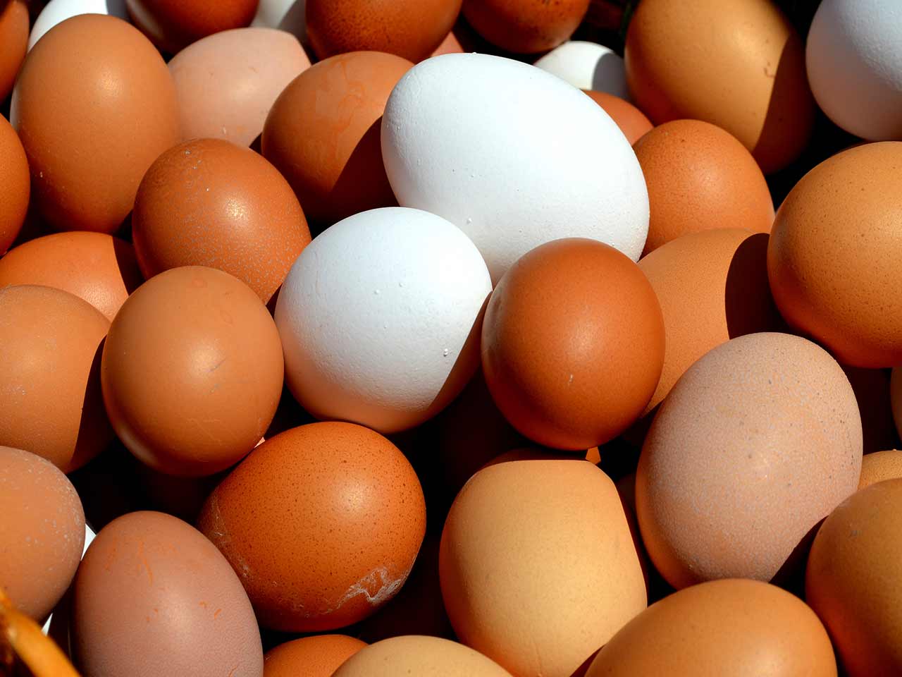 Un uovo al giorno toglie linfarto di torno