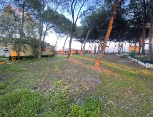 CAMPING CAMMELLO GRIGIO
