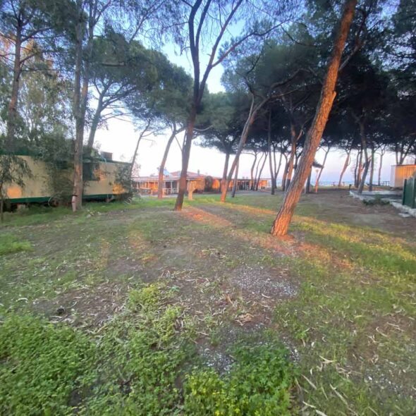 Camping cammello grigio