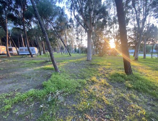 CAMPING CAMMELLO GRIGIO