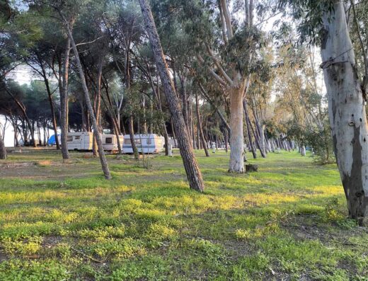 CAMPING CAMMELLO GRIGIO
