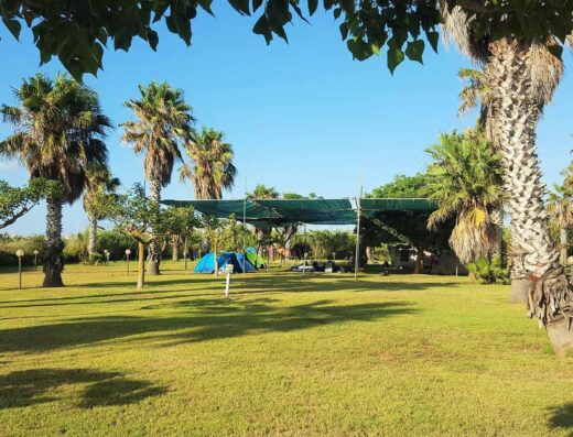 CAMPING BISCIONE